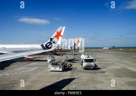 Tails von Jetstar Flugzeug geparkt auf dem Vorfeld in Auckland Flughafen mit Air New Zealand Rollen im Hintergrund Stockfoto