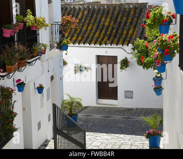 Estepona alten malerischen Straßen Blume Töpfe Geranien Terrakotta-Dächer Stadt gepflasterten Straßen weißes Dorf Pueblo blanco Stockfoto