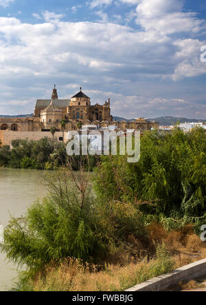 Blick auf die Moschee-Kathedrale von Córdoba aus dem südlichen Ufer des Flusses Guadalquivir in Spanien gesehen. Stockfoto