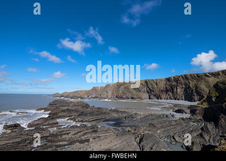 Hartland Quay in Hartland, Devon, England, UK Stockfoto