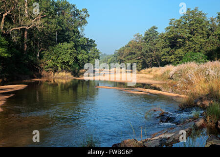 Landschaft mit einem Fluss und Wald Bäume, Kanha Nationalpark, Indien Stockfoto