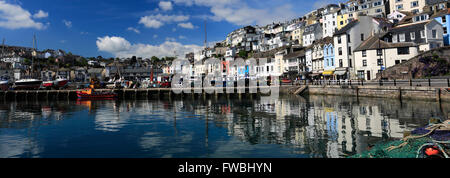 Sommer, Angelboote/Fischerboote in Brixham Hafen, Brixham Stadt, Torbay, englische Riviera, Grafschaft Devon, England, UK Stockfoto