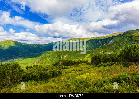 Sommerlandschaft des montenegrinischen Ridge in Karpaten Stockfoto