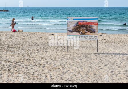 Brett gegen werfen Würfe am Mezizim Strand in der Stadt Tel Aviv, Israel Stockfoto