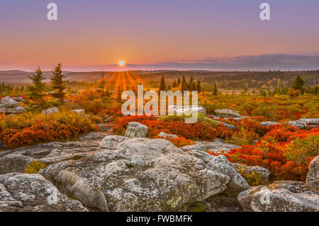 Ein Pastell Himmel hängt über die Einstellung Sonne Hervorhebung verlässt das herbstliche Rot von Huckleberry Gebüsch getragen. Stockfoto