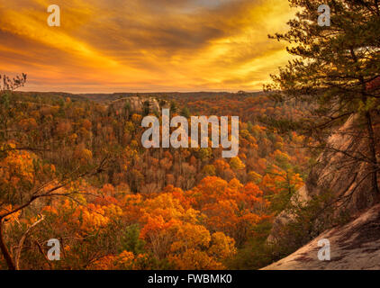 Den Himmel und Wald spiegeln andererseits mit Explosionen von lebendigen gelb und Orange auf einem knackigen Herbstabend in Kentucky. Stockfoto