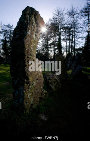 Der Steinkreis und Einzelsteine bekannt als die "Rollright Stones", ein Steinkreis der Jungsteinzeit auf einem Hügel in Oxfordshire, UK. Der Steinkreis wird berichtet, dass durch den Menschen etwa 12:00 vorgenommen wurden. Stockfoto