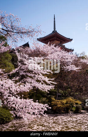 Kiyomizudera Tempel "Pure Wasser-Tempel" ist eines der berühmtesten Tempel Japans. Stockfoto