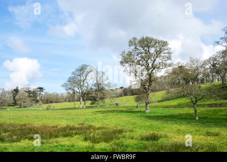 Penrose Estate in der Nähe von Helston in Cornwall, Großbritannien Stockfoto