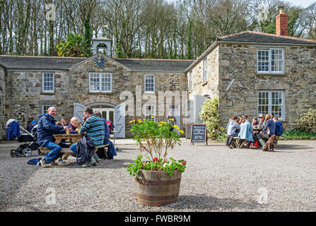 Die alten Ställe Café Penrose Estate in der Nähe von Helston in Cornwall, Großbritannien Stockfoto