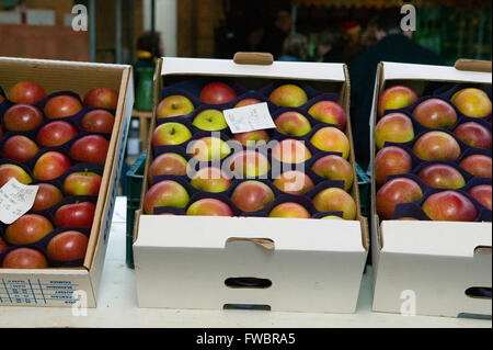 Bio-Bauernhof Äpfel auf Verkauf in Boxen auf einem Marktplatz in den Cotswolds, UK gewachsen. Stockfoto