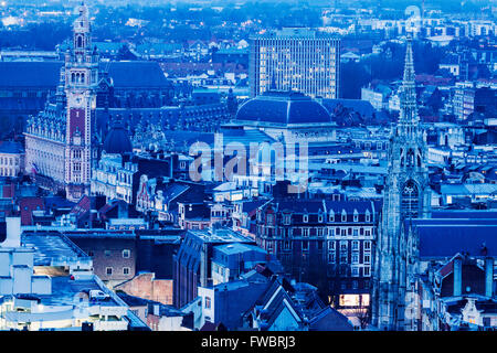 Luftaufnahme von Lille. Lille, Nord-Pas-de-Calais, Frankreich Stockfoto