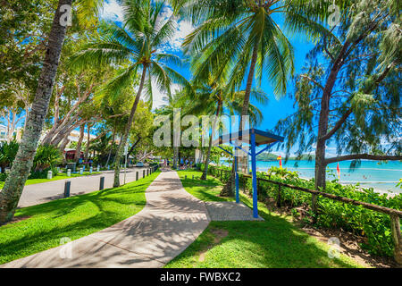 PALM COVE, AUSTRALIEN - 28. MÄRZ 2016. Die Esplanade in Palm Cove mit Palmen, Straßen- und Beach, Australien. Palm Cove ist Bevölkerung Stockfoto