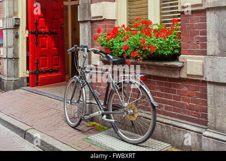 Fahrrad gelehnt Ziegelmauer und Fensterbank mit Blumen Topf in Amsterdam, Niederlande. Stockfoto
