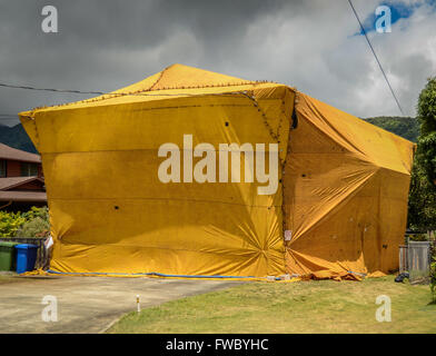 Wohnhaus, die "hat" Tented wurde um Schädlinge wie Termiten zu vernichten Stockfoto