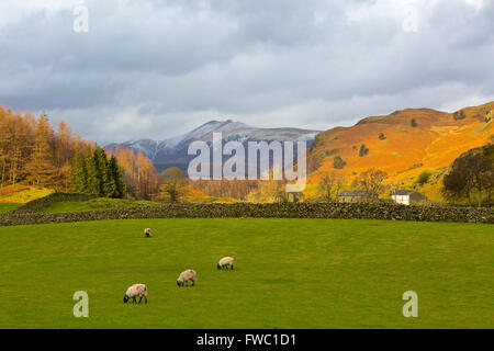 Blick in Richtung Blencathra Seenplatte Stockfoto