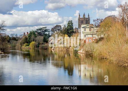 Der Fluss Wye in Hereford zeigt den Turm der Kathedrale, Herefordshire, an einem sonnigen Frühlingstag. Stockfoto