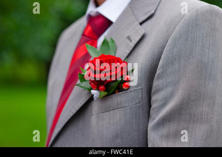 Roten Boutonniere auf grauen Bräutigam Jacke Stockfoto