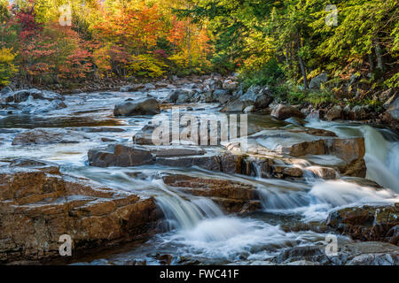 Wasser stürzt über die Wasserfälle am Fluss Swift an felsigen Schlucht, White Mountain National Forest, NH Stockfoto