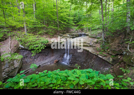 Blaue Henne fällt am Nationalpark Cuyahoga, Ohio Stockfoto