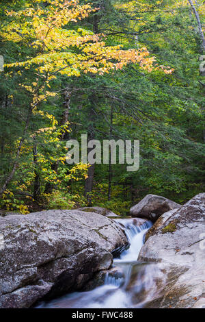 Ein Abschnitt des Flusses Pemigewassett eilt durch den Franconia Notch State Park in der Nähe der Becken, Grafton Co., New-Hampshire Stockfoto