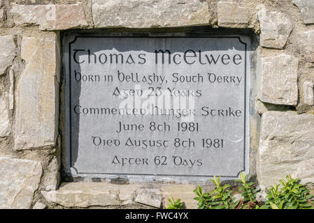 Gedenktafel in einem Garten der Erinnerung für die 1981 Irish Republican Hunger Stürmer Thomas McElwee Stockfoto