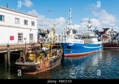 Fischtrawler in Killybegs, Donegal, Irland. Stockfoto