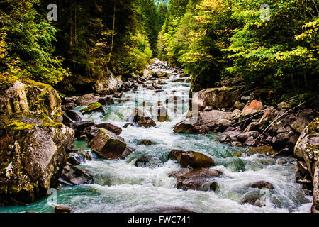 Nebenfluss des Sarca Flusses des Val di Genova; Trentino-Alto-Adige, Italien. Stockfoto