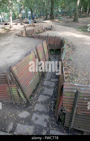 Britische 1. Weltkrieg Gräben bei Hill 62 Sanctuary Wood auf den Ypern auffallende Schlachtfeldern, Belgien. Stockfoto