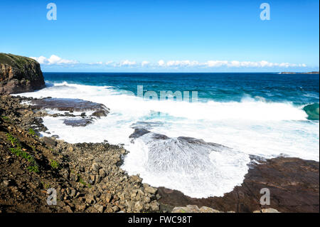 Kiama Felsen, Bombo Strand Illawarra Coast, New South Wales, Australien Stockfoto