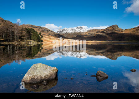 Blea Tarn und Schnee bedeckt Langdale Pikes, Nationalpark Lake District, Cumbria Stockfoto