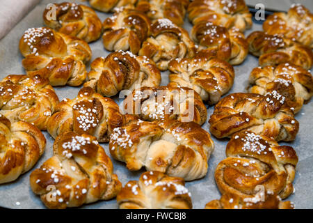 Zimtschnecken Stockfoto