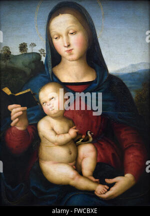 Raphael - Raffaello Sanzio (1483-1520), Maria und das Kind (Solly Madonna) 1502. Stockfoto