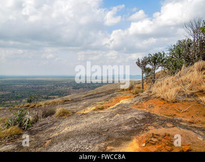 sonnigen Eindruck um Sigiriya, einem alten Palast befindet sich in der zentralen Matale-Distrikt in Sri Lanka Stockfoto