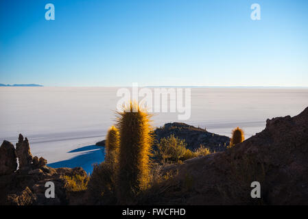 Weitwinkel-Blick auf die Uyuni Salz flach, unter das wichtigste Reiseziel in Bolivien. Schuss getroffen bei Sonnenaufgang aus dem s Stockfoto