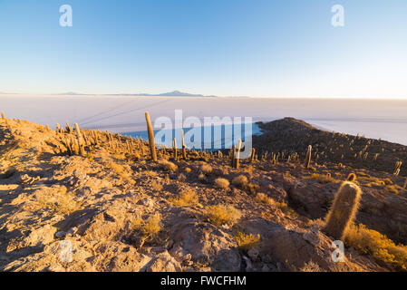 Weitwinkel-Blick auf die Uyuni Salz flach, unter das wichtigste Reiseziel in Bolivien. Schuss getroffen bei Sonnenaufgang aus dem s Stockfoto