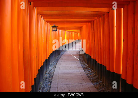 Senbon Torii, Tunnel der roten Torii-Tore am Fushimi Inari Shinto-Schrein in Kyōto, Japan Stockfoto