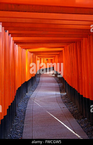 Senbon Torii, Tunnel der roten Torii-Tore am Fushimi Inari Shinto-Schrein in Kyōto, Japan Stockfoto