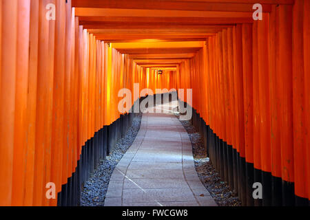 Senbon Torii, Tunnel der roten Torii-Tore am Fushimi Inari Shinto-Schrein in Kyōto, Japan Stockfoto