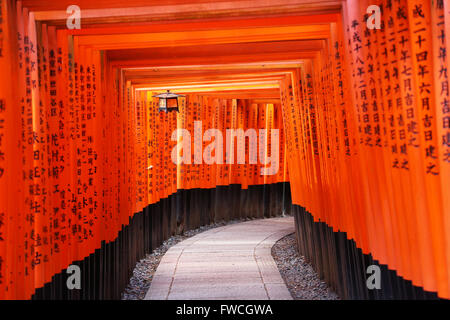 Senbon Torii, Tunnel der roten Torii-Tore am Fushimi Inari Shinto-Schrein in Kyōto, Japan Stockfoto