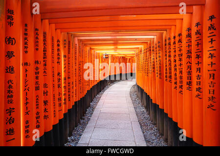 Senbon Torii, Tunnel der roten Torii-Tore am Fushimi Inari Shinto-Schrein in Kyōto, Japan Stockfoto