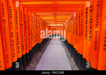 Senbon Torii, Tunnel der roten Torii-Tore am Fushimi Inari Shinto-Schrein in Kyōto, Japan Stockfoto