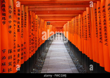 Senbon Torii, Tunnel der roten Torii-Tore am Fushimi Inari Shinto-Schrein in Kyōto, Japan Stockfoto