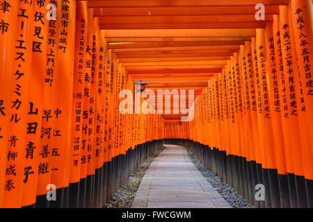 Senbon Torii, Tunnel der roten Torii-Tore am Fushimi Inari Shinto-Schrein in Kyōto, Japan Stockfoto