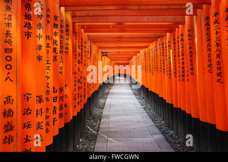 Senbon Torii, Tunnel der roten Torii-Tore am Fushimi Inari Shinto-Schrein in Kyōto, Japan Stockfoto