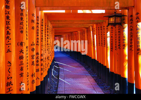 Senbon Torii, Tunnel der roten Torii-Tore am Fushimi Inari Shinto-Schrein in Kyōto, Japan Stockfoto