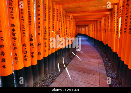 Senbon Torii, Tunnel der roten Torii-Tore am Fushimi Inari Shinto-Schrein in Kyōto, Japan Stockfoto