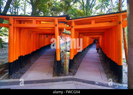 Senbon Torii, Tunnel der roten Torii-Tore am Fushimi Inari Shinto-Schrein in Kyōto, Japan Stockfoto