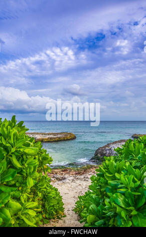 Am Strand, Rivera Maya Mexiko Stockfoto