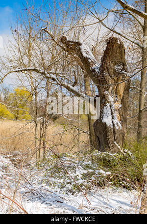 Chappaqua, New York 3. April 2016 - USA-Wetter. Ein Schneesturm April decken die Vororten von New York mit mehr Schnee erwartet noch in dieser Woche. Bildnachweis: Marianne Campolongo/Alamy Live-Nachrichten Stockfoto